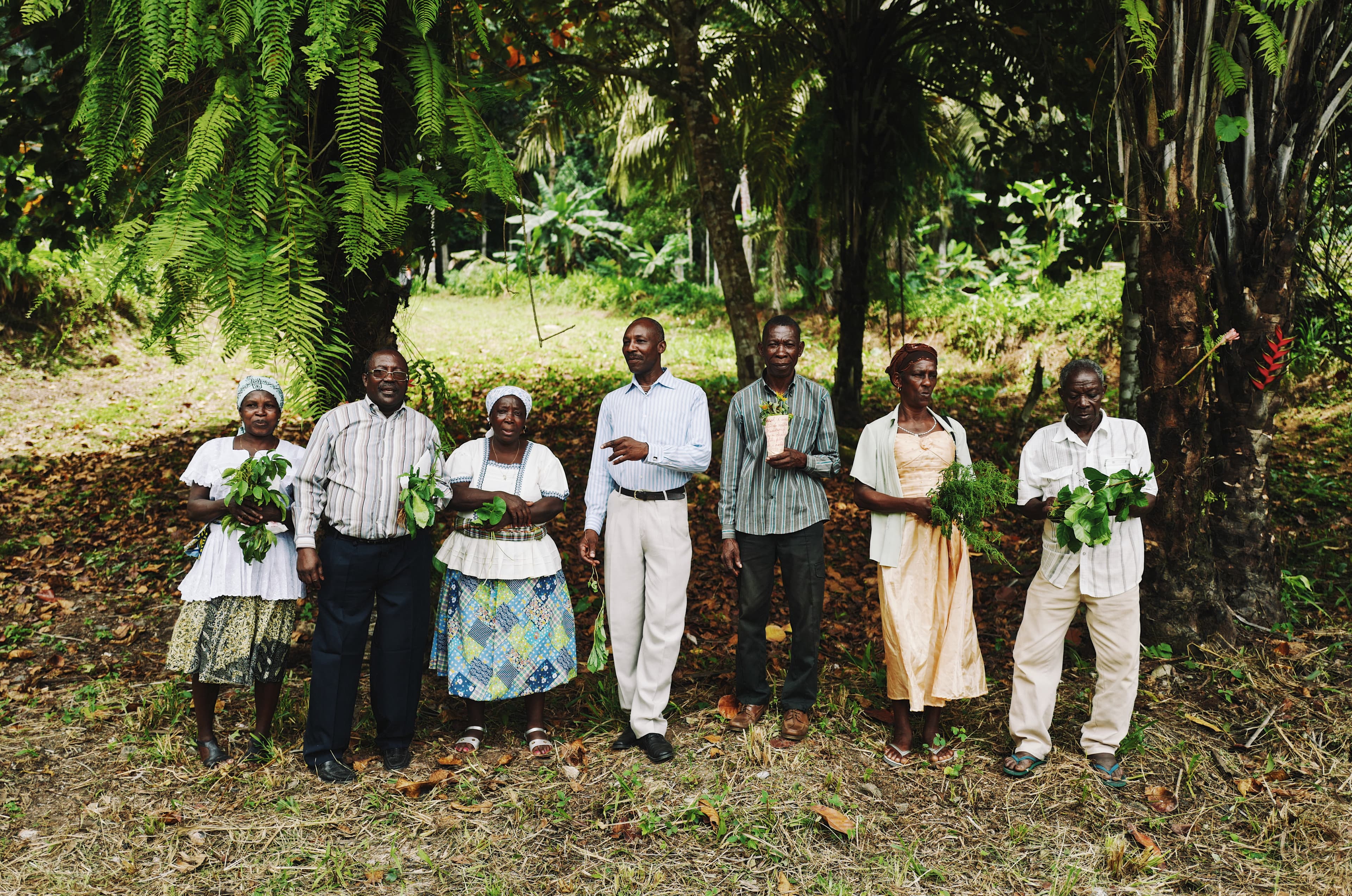 Seven people, four men and three women, standing side by side in elegant clothing in front of the forest, each holding a different plant in their hands