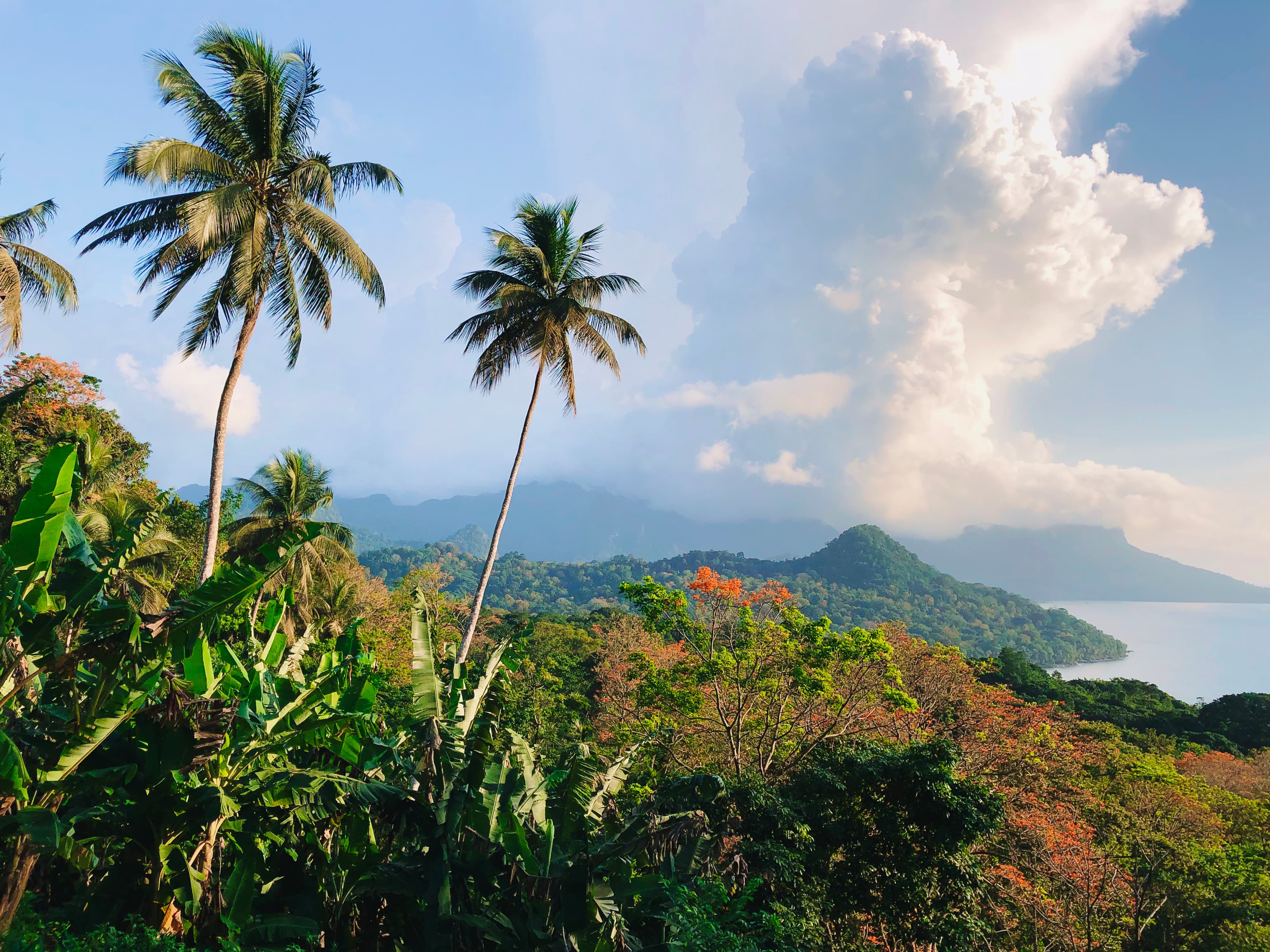 Panoramic view over Príncipe Island, with palms and dense vegetation in the foreground, volcanic mountains and the ocean in the background