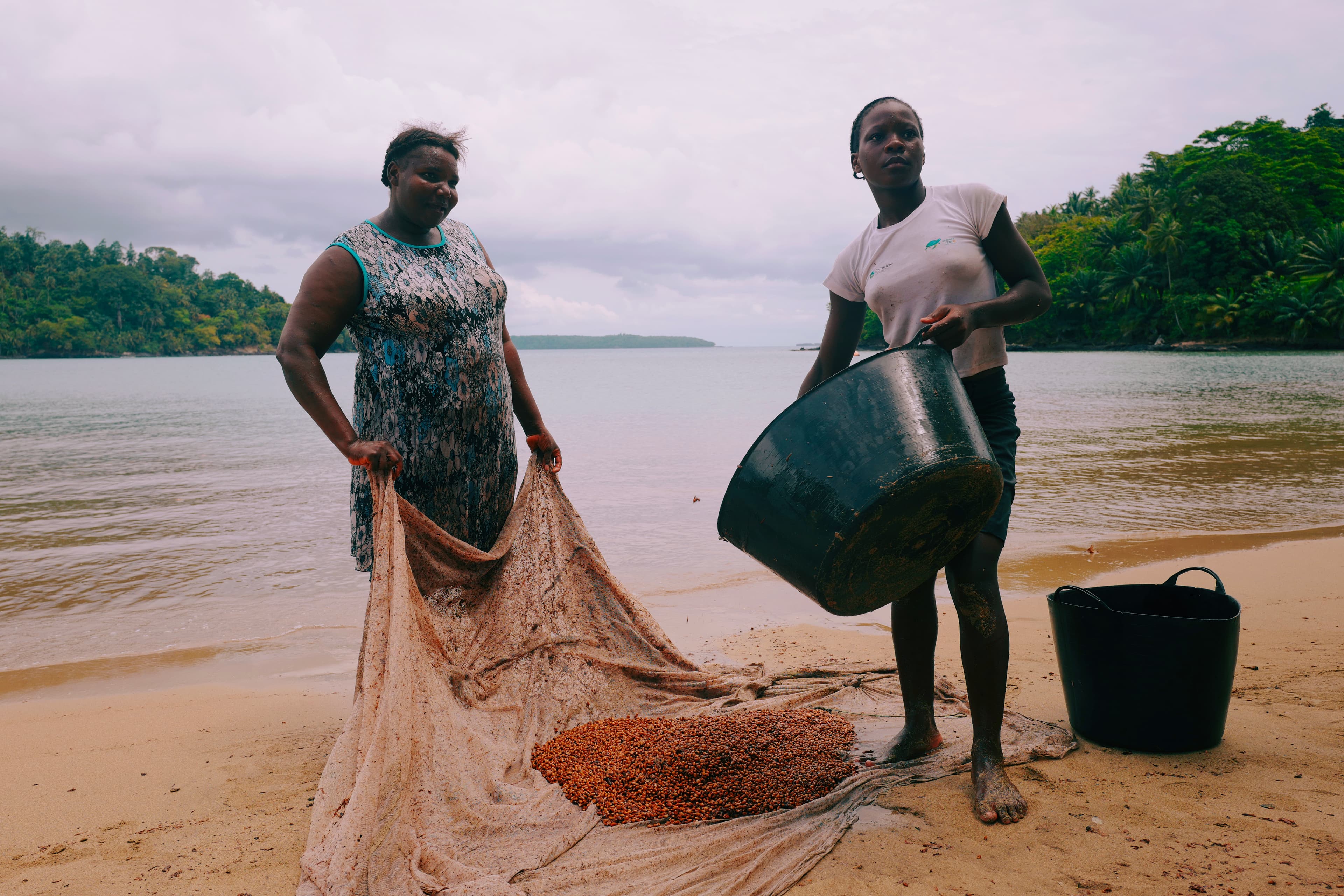 Two women on the beach with a large black bucket and a net, washing a big pile of berries that are spread on the ground in front of them